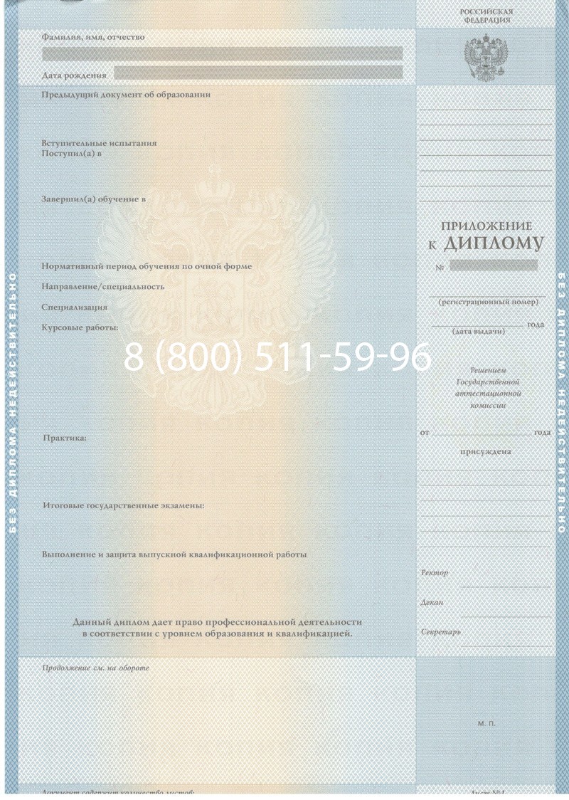 Заказать Диплом магистра 2003-2009 годов в Нижнем Новгороде
