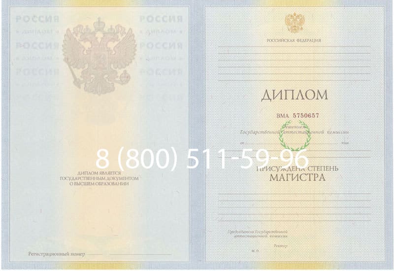 Купить Диплом магистра 2010-2011 годов в Нижнем Новгороде