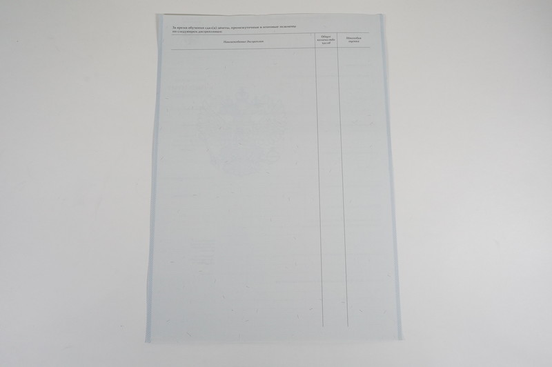 Диплом о начальном образовании  2007-2009 годов в Нижнем Новгороде
