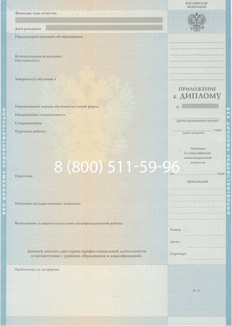 Заказать Диплом специалиста 2010-2011 годов в Нижнем Новгороде